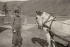 Bjarne og hest på tunet på Haugland 1940